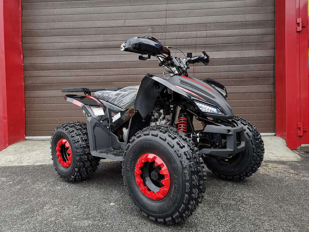 PROMAX SPORT - PRO 180 (2025)